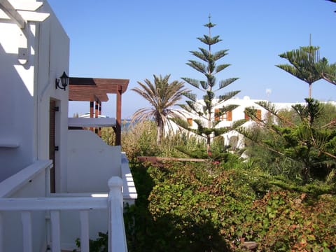 Balcony/Terrace, Garden view