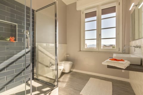 Shower, Toilet, Bathroom, City view, towels