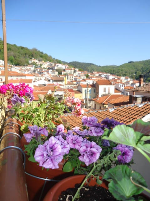 Mountain view, Street view