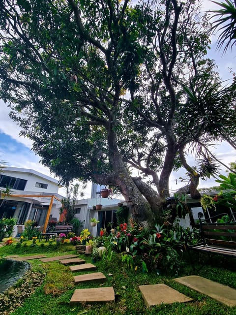 Spring, Day, Natural landscape, Garden, Garden view