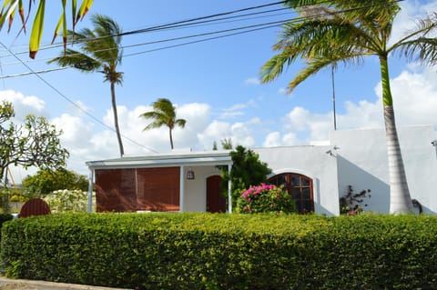 Garden, Garden view, Quiet street view