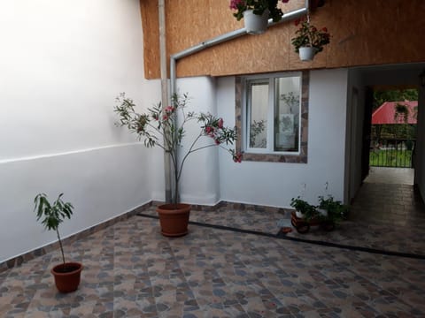 Casa Valea Morilor Country House in Serbia