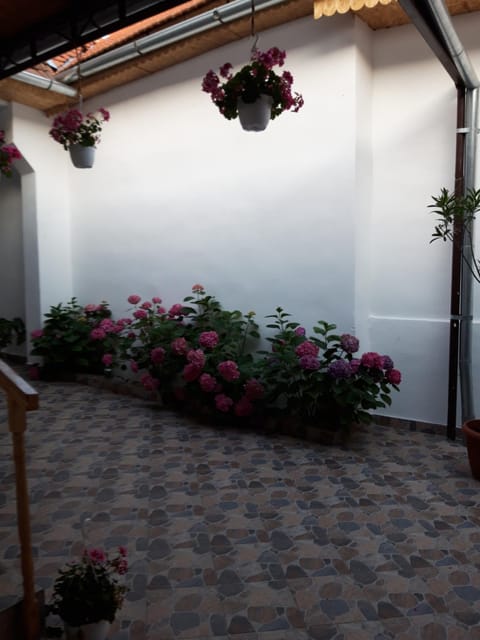 Casa Valea Morilor Country House in Serbia