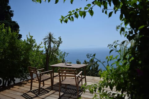 Patio, Garden