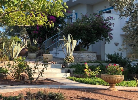 Facade/entrance, Garden