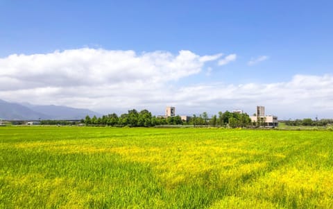 Property building, Natural landscape