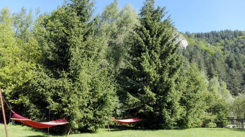 Garden, Beach