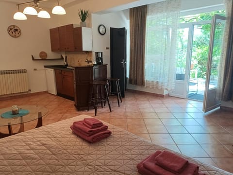 Bed, TV and multimedia, Kitchen or kitchenette, Photo of the whole room, Dining area, Bedroom, pet friendly, stove, towels, air conditioner