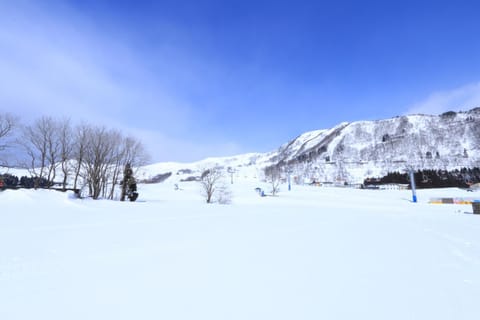 Skiing