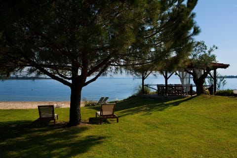 Garden, On site, Sea view
