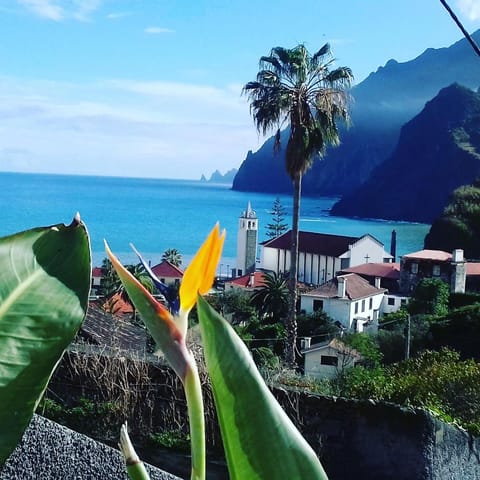 Garden, Mountain view, Sea view