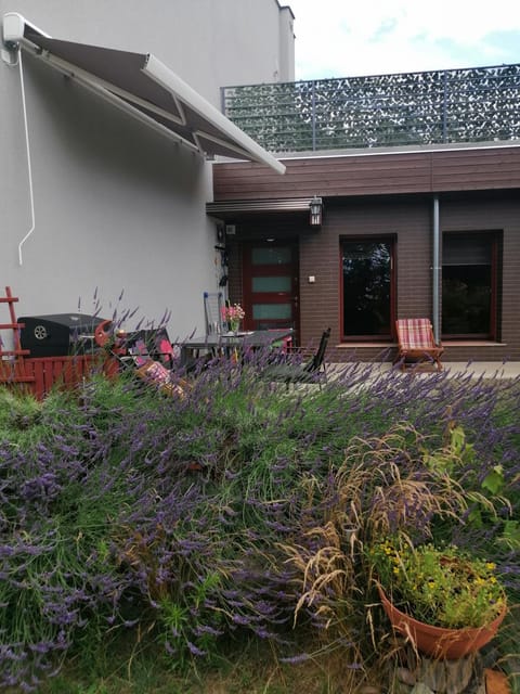 Property building, Garden view