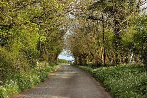 The Moat on the Greenway Apartment in County Waterford