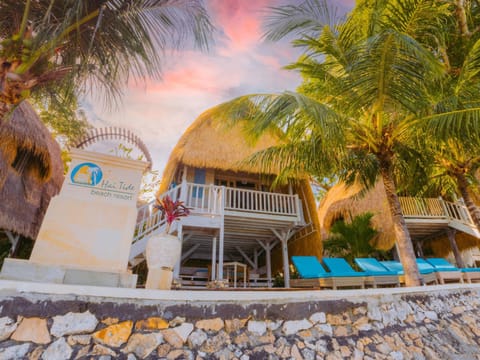 Property building, sunbed