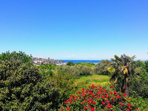 Natural landscape, Sea view