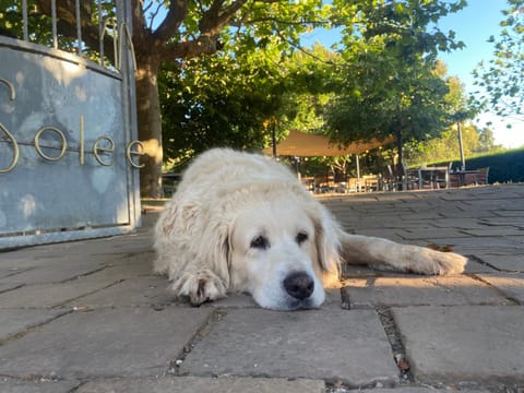 Sole E Monti Hotel in Zonza