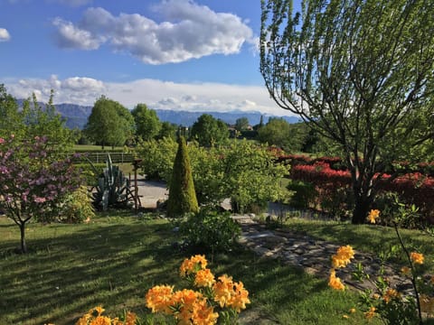 Garden, Mountain view