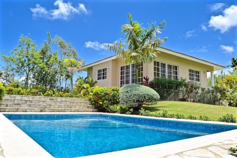 Property building, Spring, Day, Garden, Garden view, Pool view, Swimming pool