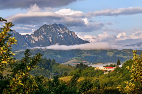 Natural landscape, Summer, Mountain view