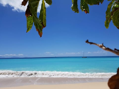 Natural landscape, Beach