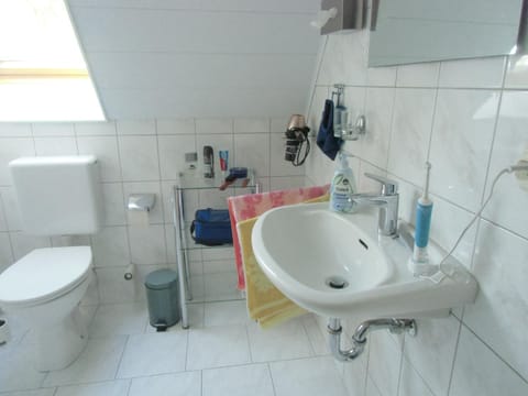 Shower, Toilet