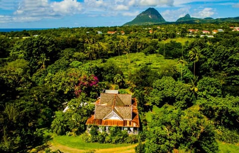 Property building, Bird's eye view
