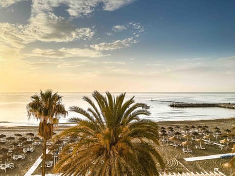 Spring, Off site, Day, Night, Natural landscape, Winter, Summer, Beach, Beach, Autumn, Sea view, Street view, Sunrise, Sunset