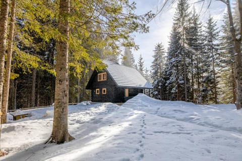 Property building, Day, Natural landscape, Winter