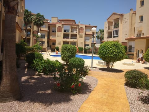 Garden, Swimming pool
