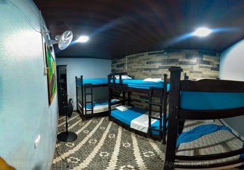 Bedroom, bunk bed