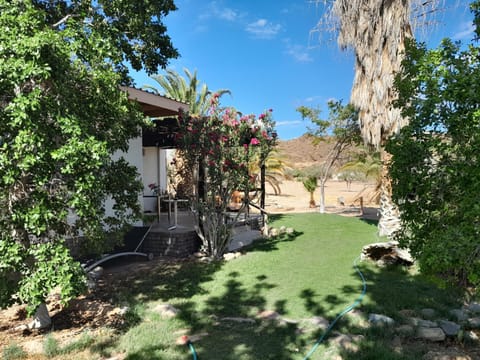 Garden, Garden