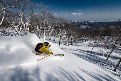 Winter, Skiing
