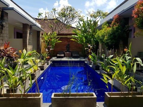 Pool view, Swimming pool