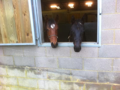 Withyslade Farm House in North Dorset District