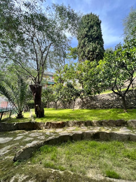 Garden, Garden view