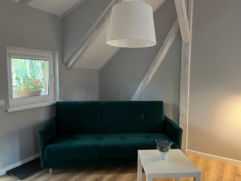 Apartamenty We Młynie Farm Stay in Lithuania