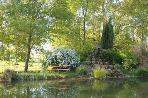Natural landscape, Garden, Lake view