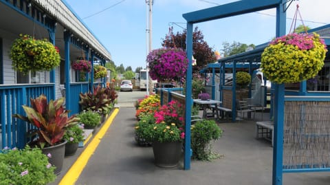 Garden, Balcony/Terrace
