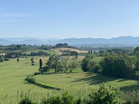 Locazione turistica Casa olivo Apartment in Emilia-Romagna