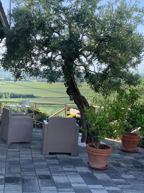 Locazione turistica Casa olivo Apartment in Emilia-Romagna