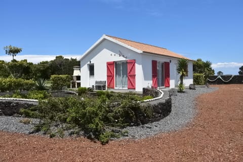 Patio, Garden, Balcony/Terrace