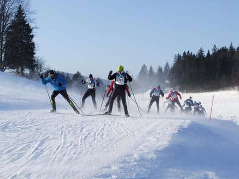 La Serre Nelly Philippe Apartment in Jura