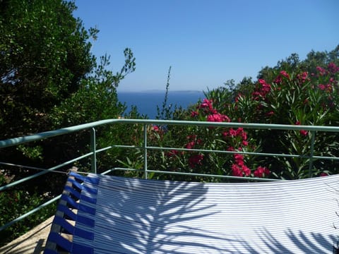 Natural landscape, Garden