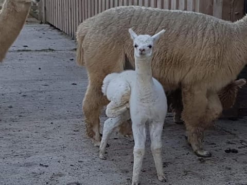 Morgan's Rest House in England