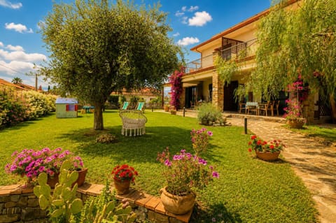 Property building, Garden, Garden view