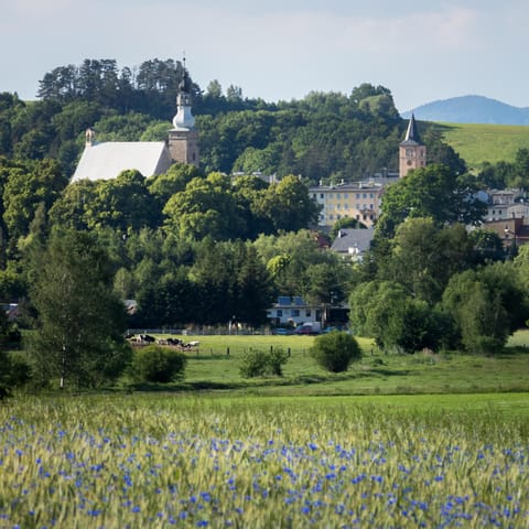 Neighbourhood, Natural landscape, Hiking