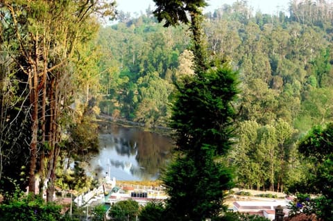 View (from property/room), Lake view