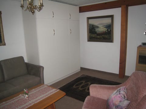 Bed, Living room, Photo of the whole room, Decorative detail, Seating area, Bedroom