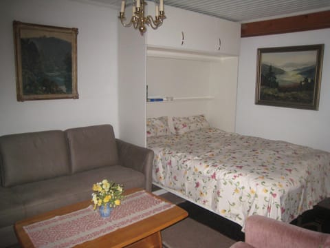 Bed, Living room, Photo of the whole room, Decorative detail, Seating area, Bedroom