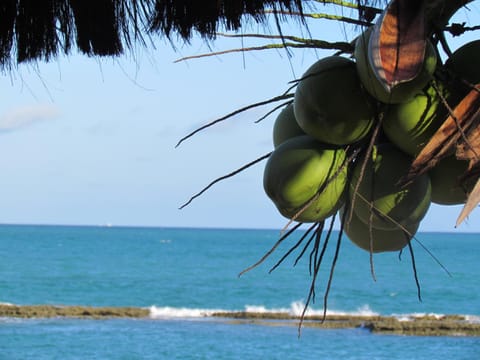 Nearby landmark, Restaurant/places to eat, Restaurant/places to eat, Day, Natural landscape, Summer, Children play ground, Game Room, Game Room, Garden, Lobby or reception, Lounge or bar, Beach, Beach, On site, Sea view, Area and facilities, Swimming pool
